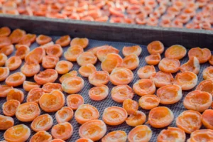 bandejas con frutas deshidratadas