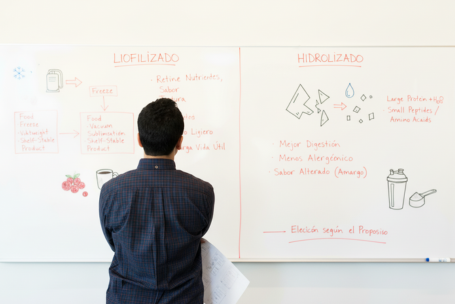 Cual es la diferencia entre el liofilizado y el hidrolizado