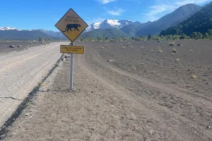 Letrero advertencia en Parque Nacional Conguillio