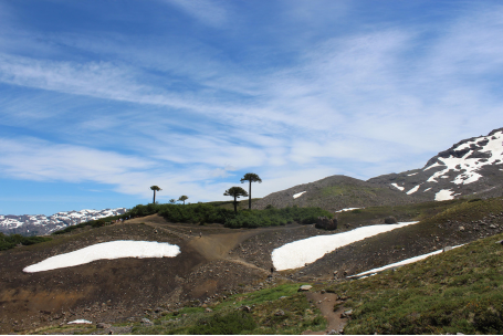 Camino a Mirador Sierra Nevada
