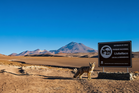 entrada a Parque Nacional LLullaillaco.