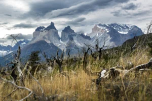 Trekking mas bonito de chile, Torres del Paine