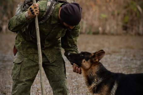 Trekking para ir con mascotas