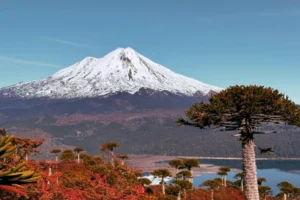 Vista otoñal en Parque Nacional Conguillio