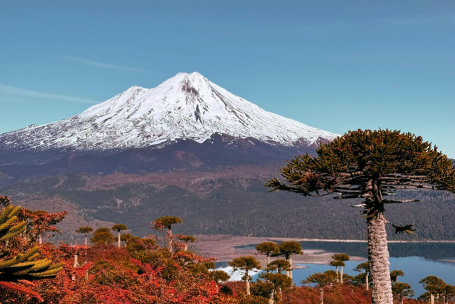 Vista otoñal en Parque Nacional Conguillio