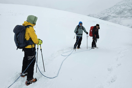 Grupo de amigos utilizando bastones para una travesía en la nieve