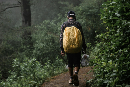 Persona caminando en un sendero